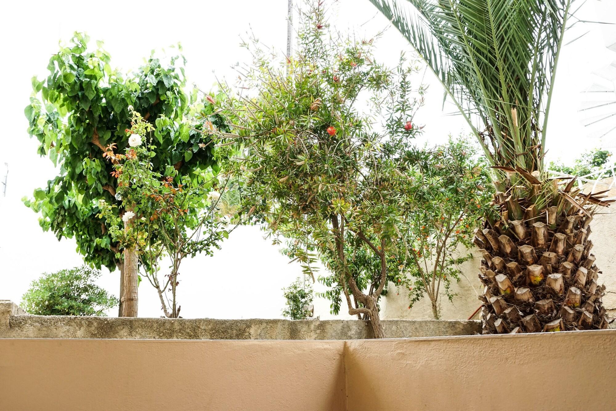 Dioni Hotel アデリアノス・カンポス エクステリア 写真